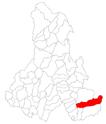I danmark findes to arter af sankthansorm der begge hører til familien lampýridae. Sanmartin Harghita Wikipedia