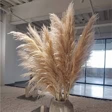 Who knew we'd collectively fall in love with grass, of all things? Kanlong Factory Wholesale Price Elegant Large Natural Dried Flowers Fluffy Pampas Grass For Home Decoration Buy Pampas Grass Dried Pampas Grass Decor Large Pampas Grass Decoration Product On Alibaba Com
