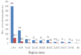 Image result for Achyrospermum schimperi