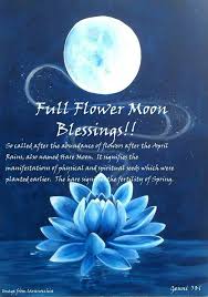 Owls Wings Blessings Of The Full Flower Moon Moon Flower May Full Moon Full Moon Ritual