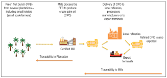 Supply chain as a single business entity and. Molecules Free Full Text Sustainable Palm Oil The Role Of Screening And Advanced Analytical Techniques For Geographical Traceability And Authenticity Verification Html
