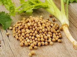 The proven health benefits of coriander seeds powder will leave you with a smile. à´®à´² à´² à´ª à´ª à´Ÿ à´¯ à´Ÿ à´†à´° à´— à´¯à´— à´£à´™ à´™à´³ Health Benefits Coriander Powder Malayalam Boldsky