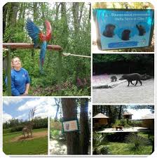 Opening & closing timings, parking options, restaurants nearby or what to see on your visit to african safari zoo? Visite Au Zoo African Safari De Plaisance Du Touch Concours Maman Arrive Overblog Com
