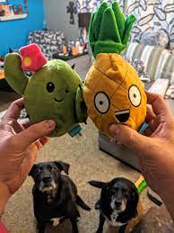 There are 33 cactus dog toy for sale on etsy, and they cost £16.56 on average. Cactus Dog Toy With Sad Cactus Inside Online Shopping
