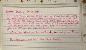 Excelsior Wound Nsl Mnemonic Nursing School Studying Nursing School Notes Nursing Notes