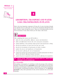 The pressure inside the cell rises, eventually the internal this pressure, turgidity or turgidness, is caused by the osmotic flow of water from an area of low solute concentration outside the cell into the. Module