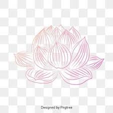 Pink Lotus Water Lantern Festival Png And Vector In 2020 Flower Drawing Tutorials Flower Drawing Water Lantern Festival