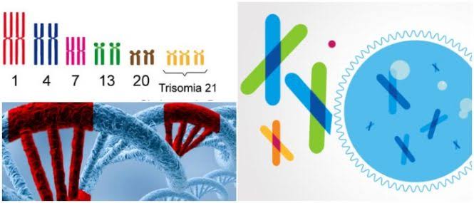 Resultado de imagen para genomicas"