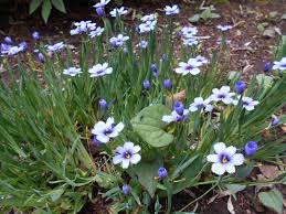 公益財団法人 横浜市緑の協会