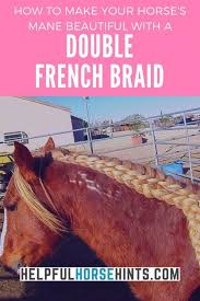 Waterfall Mane Braid Tutorial Horse Mane Braids Horse Mane Double French Braids