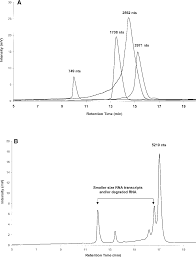 Reversed-Phase Ion Pair Chromatography (Rp-Ipc)