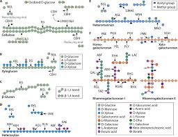 For a complete guide how to prepare. Plant Polysaccharide Degrading Enzymes From Basidiomycetes Microbiology And Molecular Biology Reviews