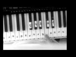 Tastatur klavier beschriftet / klaviertasten beschriftung hinstellen :. Fur Elise Tutorial Mit Buchstaben Klavier Spielen Lernen Keyboard Lernen Klavier Lernen