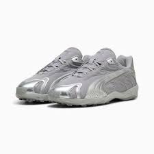 Image result for Moondust Silver 2001 Puma