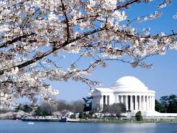Maybe you would like to learn more about one of these? Washington D C Monthly Parking Tips Tricks And Rates