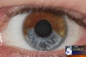 Faites paraitre des yeux bruns plus clairs avec des couleurs froides. Changer La Couleur De Ses Yeux C Est Possible