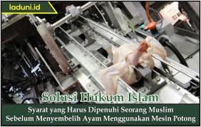 Ketentuan yang harus dipenuhi seorang penyembelih adalah: Syarat Yang Harus Dipenuhi Seorang Muslim Sebelum Menyembelih Ayam Menggunakan Mesin Potong Makanan Dan Minuman Laduni Id
