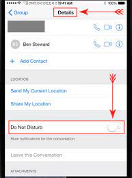 You can leave any group text by going into details and selecting do not disturb, which will mute the conversation until you turn it back off. How To Remove Yourself From A Group Text On Iphone And Ipad
