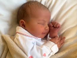 Daniel de Suède, Prince de Suède