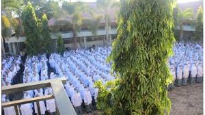 Disekolah ini terdapat 5 program keahlian, yaitu akuntansi dan. 46 Siswi Non Muslim Di Smkn 2 Padang Diklaim Biasa Saja Berjilbab Meski Demikian Kepsek Minta Maaf Warta Kota