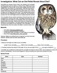 Investigation Owl Pellets