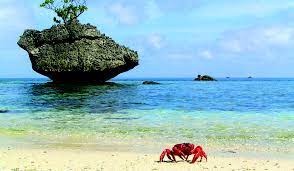 Long way from home by leon redbone audio cd $14.98. Christmas Island Discovery Redraws Map Of Life Uq News The University Of Queensland Australia