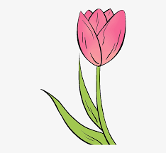 The images above represents how your finished drawing is going to look and the steps involved. How To Draw A Tulip Flowers Drawing Easy Transparent Png 680x678 Free Download On Nicepng