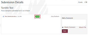 Turnitin is global leader in plagiarism checking. Https Support Canvas Fsu Edu Kb Article 1206 Students How Do I View Turnitin Results For My Submission