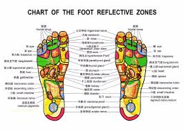 Foot Reflexology Chart Picture Of Happy Feet Massage Spa