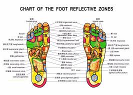 Foot Reflexology Chart Picture Of Happy Feet Massage Spa