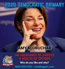 Thread by @TrueFactsStated: "I'll take any one of at least ten of ours.  Here's four. No. Not Bernie. Here's a few more. All good. […]"