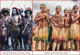 Suku dani atau suku parim ini termasuk suku yang masih memegang teguh kepercayaan mereka. Pakaian Adat Papua Lengkap Gambar Dan Penjelasanya Seni Budayaku