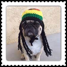 Rasta Hat Hats For Dogs Rasta Hat For By Pugsngiggles On Etsy Crochet Dog Clothes Dog Hat Dog Sweaters
