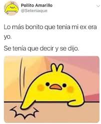 Se Tenia Que Decir Y Se Dijo El Origen Del Meme Del Pollito Amarillo Rumbos