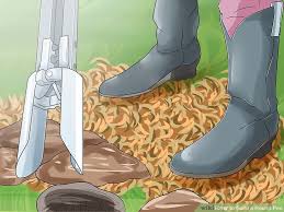 How To Build A Round Pen With Pictures Wikihow