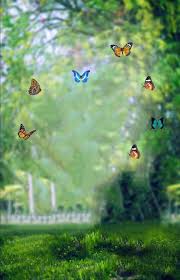 800 Cb Background Ful Hd 2019 Zip File Cb Editz Blurred Background Photography New Background Images Best Background Images 480 x 720 jpeg 71 кб. 800 cb background ful hd 2019 zip