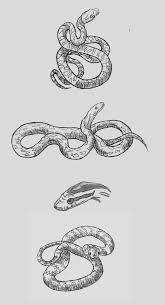 Tattoo Tattoos Ink Small Snake Tattoo Snake Tattoo Snake Drawing
