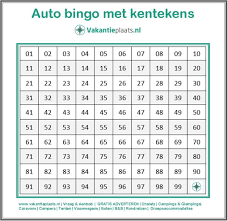Leuk Voor Onderweg Autobingo Download Onderstaande Bingokaart Print Hem Uit Voor Elke Speler En Het Vakantie Spelletjes Kampeerspelletjes Caravan Vakantie