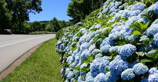 Get the monthly weather forecast for gramado, rio grande do sul, brasil, including daily high/low, historical averages, to help you plan ahead. Quando Ir Para Gramado Um Guia Do Que Fazer Em Cada Mes Do Ano