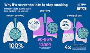 Still, genes do seem to play a role in some families with a history of lung cancer. Never Too Late To Quit Protective Cells Could Cut Risk Of Lung Cancer For Ex Smokers Eurekalert Science News