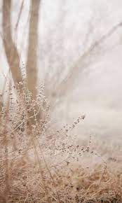 Aesthetic Backgrounds Wallpaper Aesthetic Backgrounds Phone Wallpaper Images Nature Photography