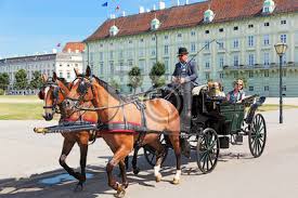 So entsteht ein eigenwilliger mix, der sich musikalisch vom balkan bis nach paris bewegt. Wien Fiaker Fahrt Leinwandbilder Bilder Tour Tourismus Clydesdale Stadtlandschaft Myloview De