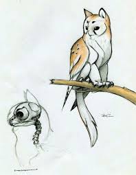 Owl Cat Creature Drawings Creature Art Animal Art