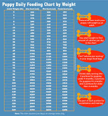 10 thorough blue basics dog food feeding chart