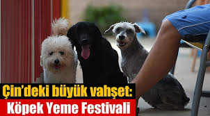 Cin De Buyuk Vahset Kopek Yeme Festivali