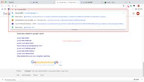 google search bar about autosuggestions 