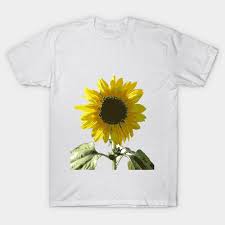 Limited Edition Exclusive Girasol