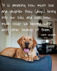 Happy Love Your Pet Day Love Your Pet Day Animal Love Quotes Dog Lover Quotes