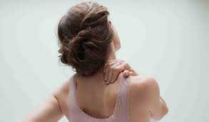 Image result for শরীর