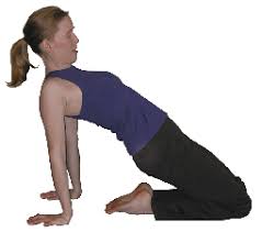 Her writing on yoga and holistic health has appeared in elephant journal, yoganonymous. Camel Pose Yin Series Yin Yang Yogis